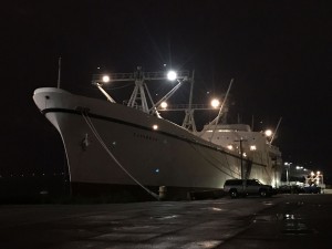 Savannah at night